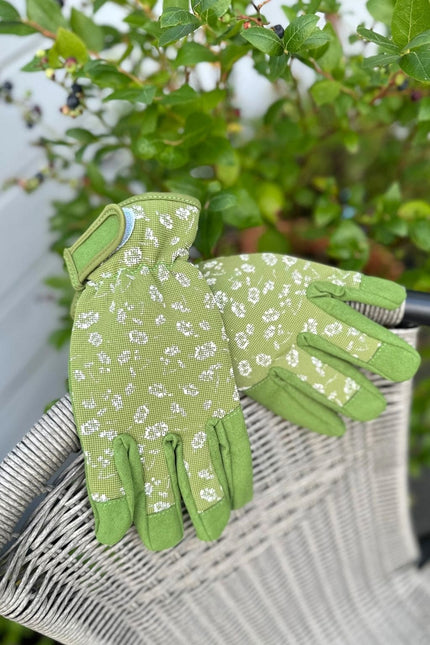 Garden gloves (two sizes)
