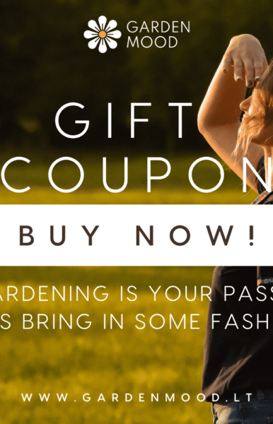 Virtual gift coupon